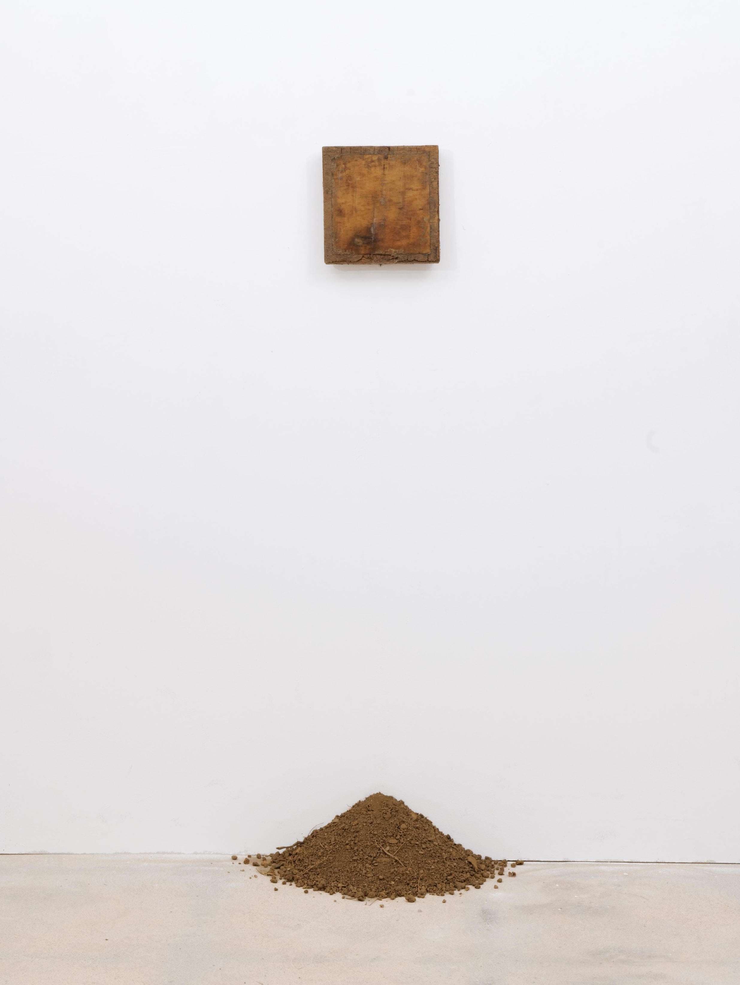 Handful of Dust installation view 2