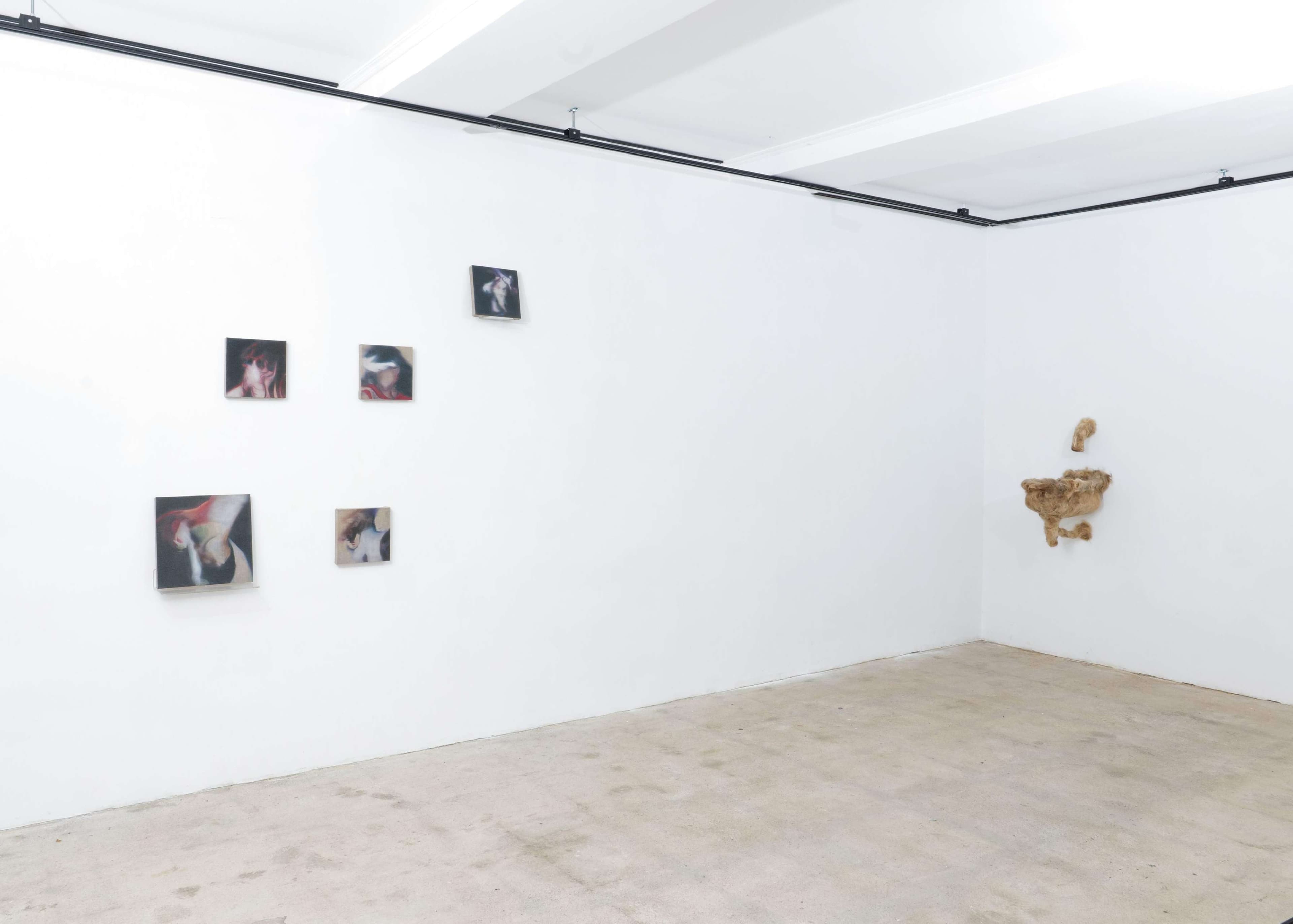 Handful of Dust installation view 12