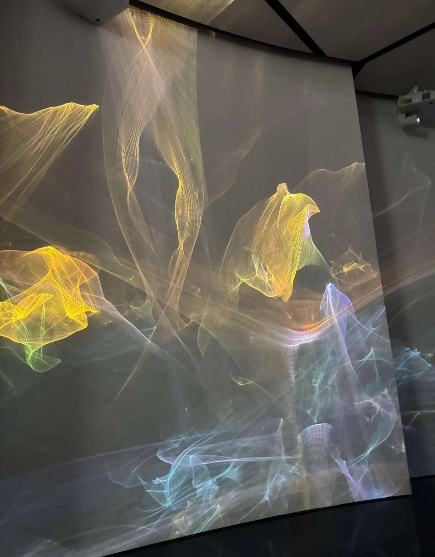 Expanding Light installation view 4