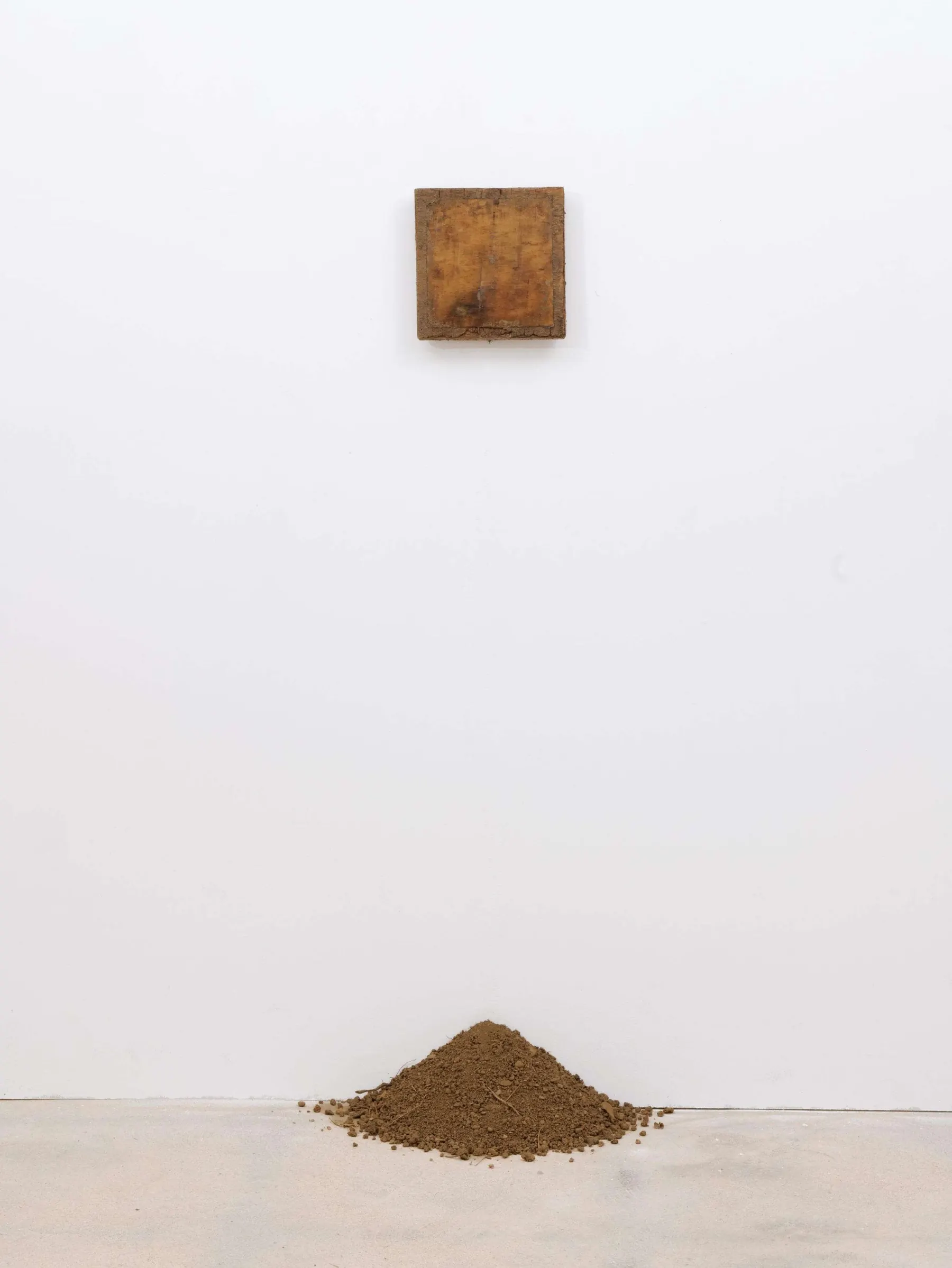 Handful of Dust installation view 2
