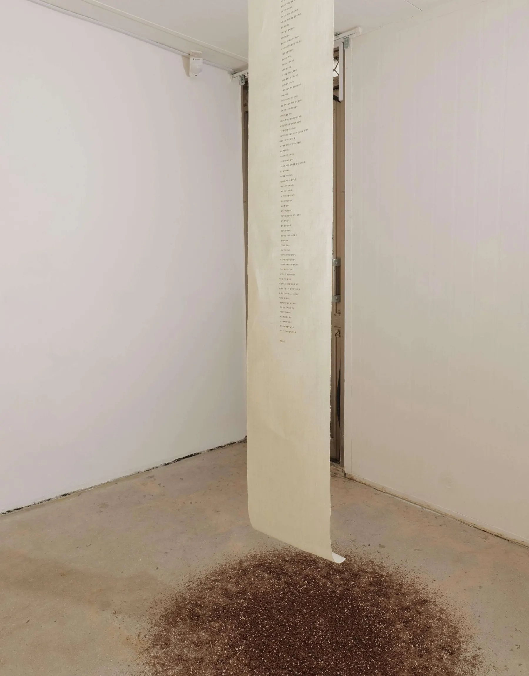 Handful of Dust installation view 3