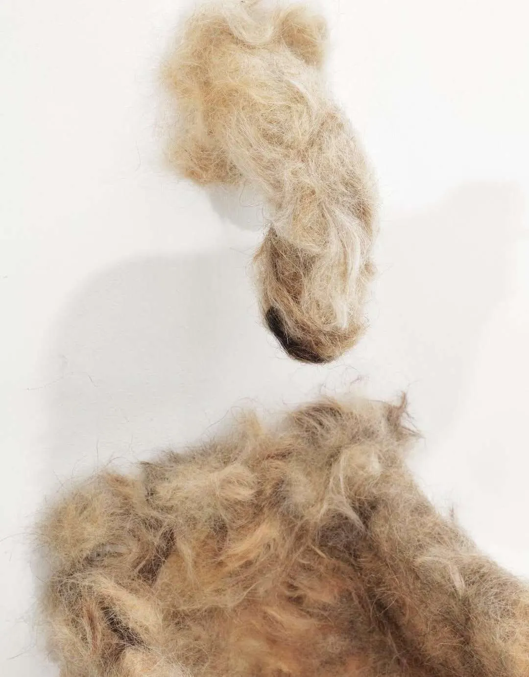 Handful of Dust installation view 5