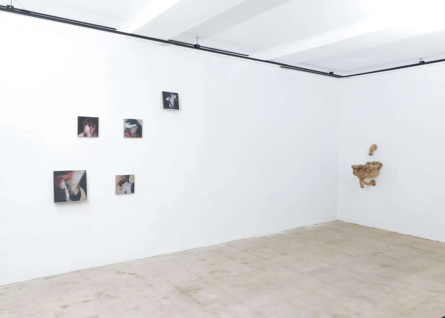 Handful of Dust installation view 12