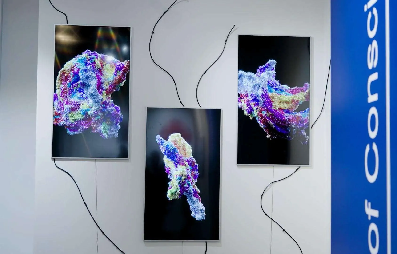 Stream of Consciousness installation view 6
