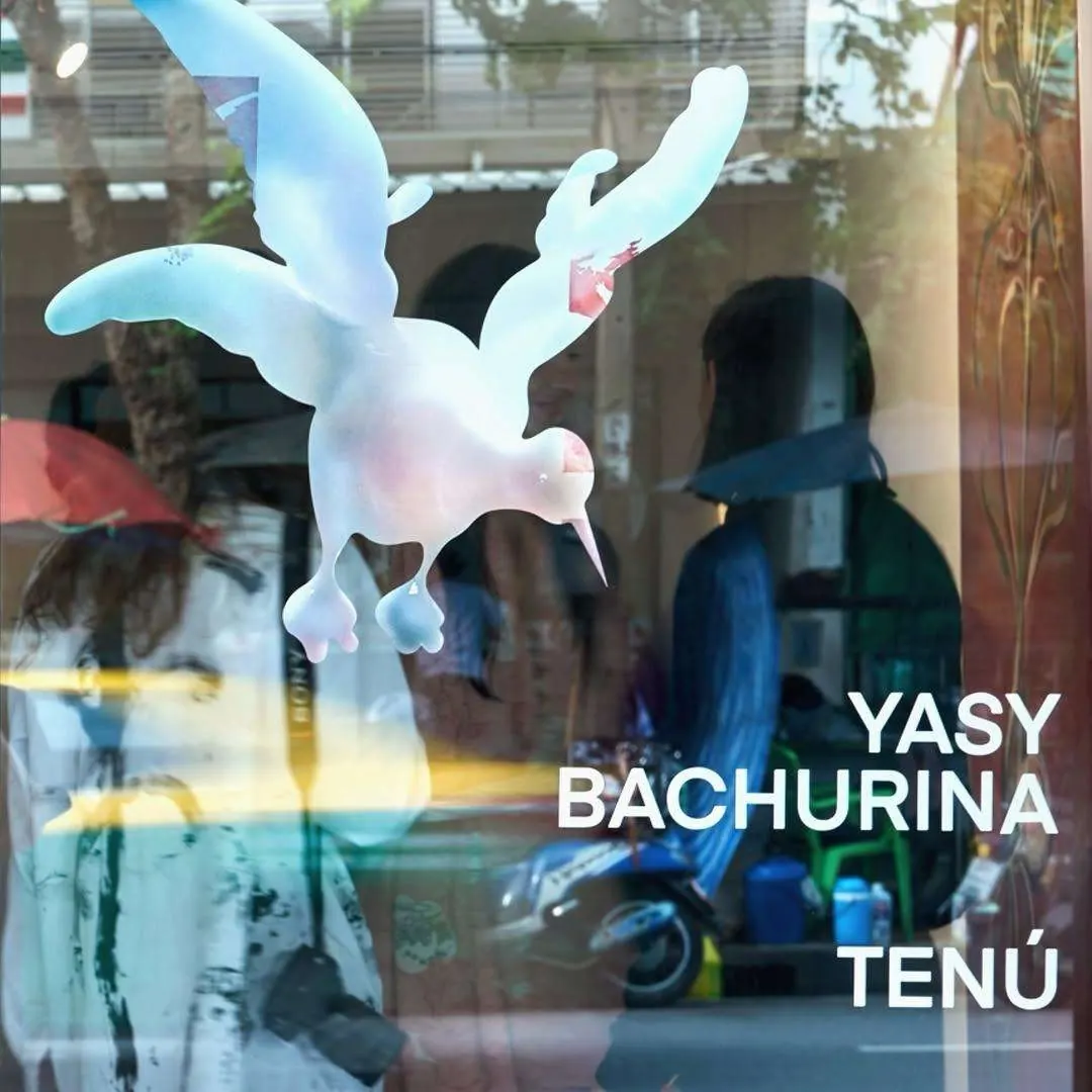 TENÚ installation view 1
