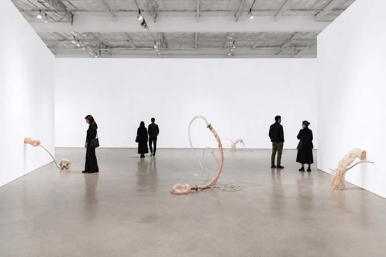 Contemporary exhibition installation view